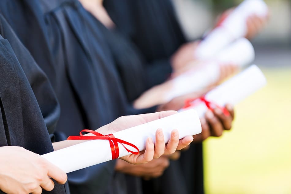 Dissertation proofreading services